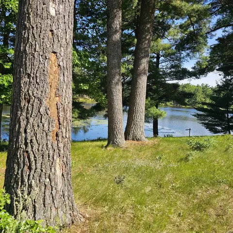 558 Blass Lake Dr, Wisconsin Dells, WI 53965