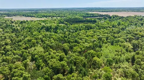 40 Acres Highway 13, Friendship, WI 53934