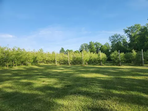 16318 E County Road V Rd, Hillsboro, WI 54634