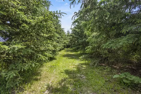 Exterior - n7166 Forest Ridge Road, Ripon, WI 54971 photo 14 of 16