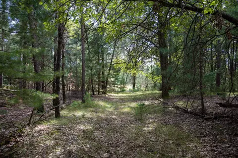 lot4 Meadow Dr, New Lisbon, WI 53950