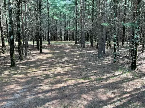 5 7 Acres Browndeer Ave, Friendship, WI 53934