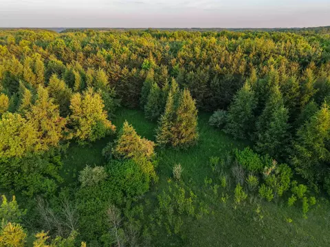 000 Weber Rd, Viola, WI 54664 photo 38
