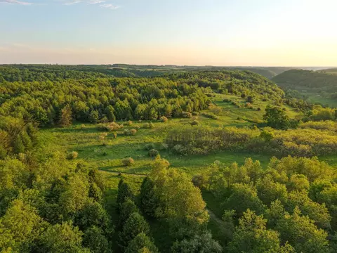 000 Weber Rd, Viola, WI 54664 photo 19