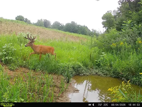 153 Acres Shimmering Ln, Blue River, WI 53518