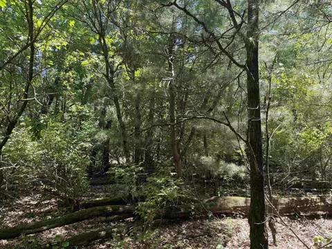 5 Acre 8th Ave, Wisconsin Dells, WI 53965