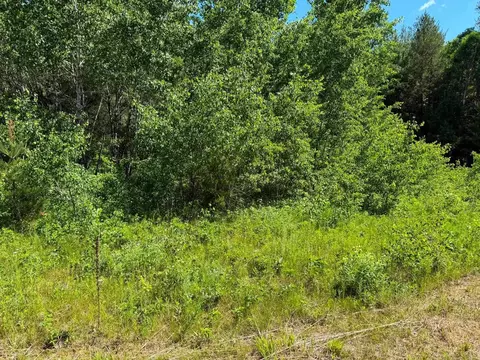 2 5 Acres County Road C, Arkdale, WI 54613