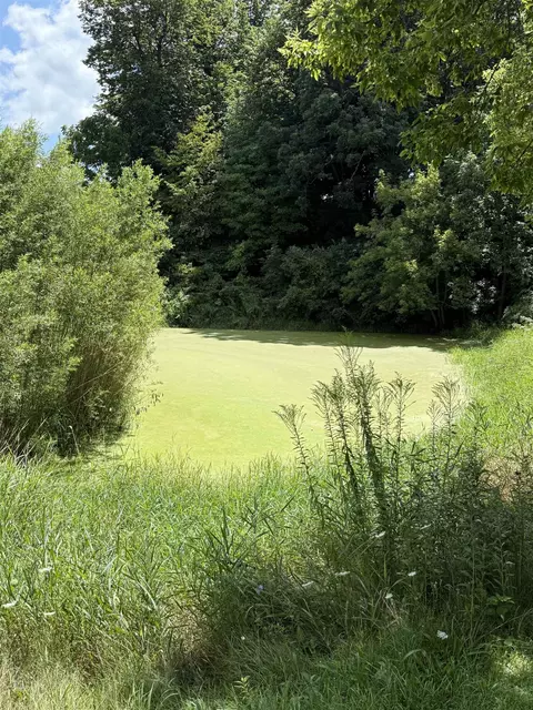 View/Area - 303 Booth Ln, Mcgregor, IA 52157 photo 2 of 2