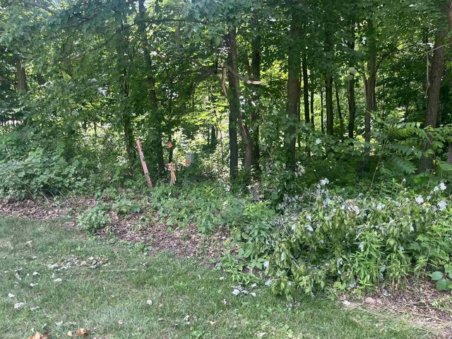 lot S 10 11 Oak Hill Estate East St, Mauston, WI 53948