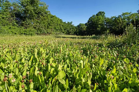 76 Acres Skyline Rd, Blue River, WI 53518