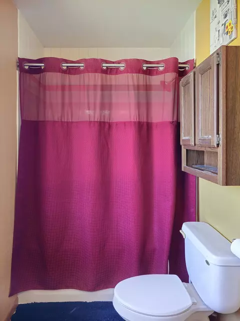 Bath - 740 E Scott St, Omro, WI 54963 photo 3 of 6