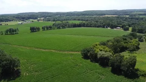 135 45 Acres Costigan Rd, Lyndon Station, WI 53944