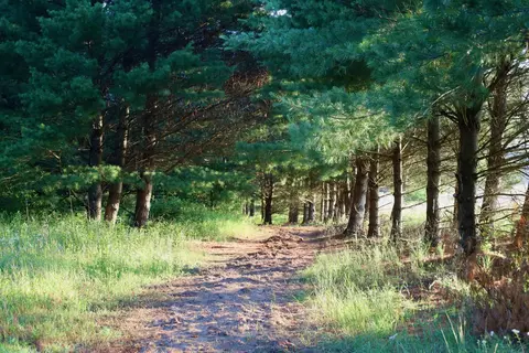 000 17th Dr, Montello, WI 53949 photo 22