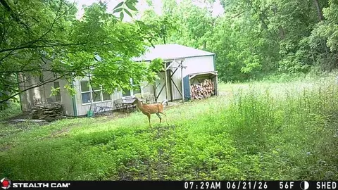 23475 Highway 61, Boscobel, WI 53805