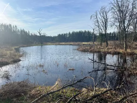 1193 Beaver Ave, Nekoosa, WI 54457