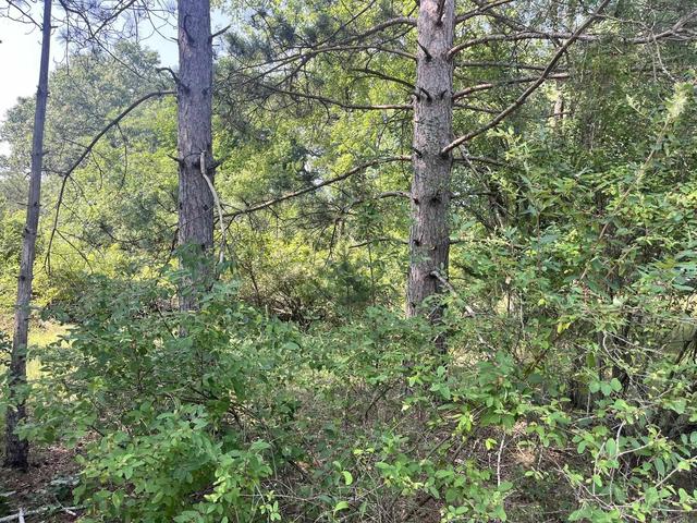 lot16 S Czech Ct, Friendship, WI 53934