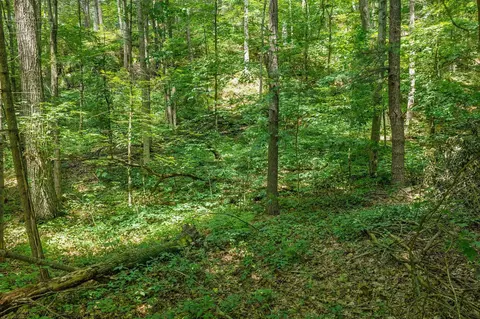 Other - s182 Wisconsin 33, Wonewoc, WI 53968 photo 16 of 20