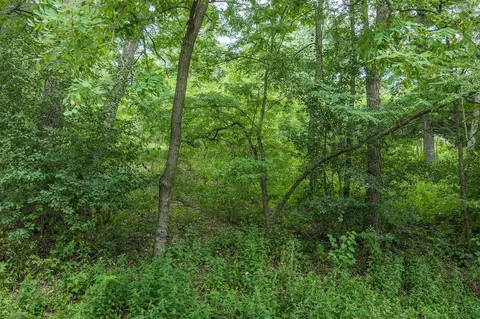 lot9 Yellow Thunder, Baraboo, WI 53913 photo 14
