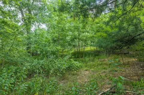 lot9 Yellow Thunder, Baraboo, WI 53913 photo 9