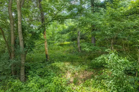 lot9 Yellow Thunder, Baraboo, WI 53913 photo 11