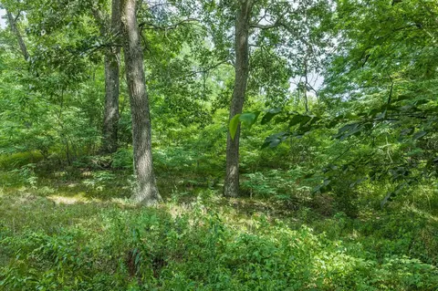 lot9 Yellow Thunder, Baraboo, WI 53913 photo 18