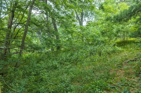 lot9 Yellow Thunder, Baraboo, WI 53913 photo 10