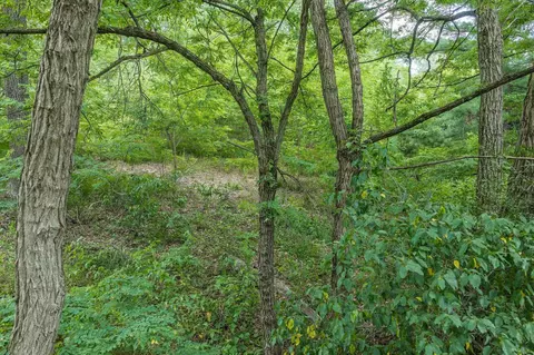 lot9 Yellow Thunder, Baraboo, WI 53913 photo 16