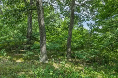 lot9 Yellow Thunder, Baraboo, WI 53913 photo 24