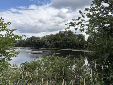 2 01 Acres Hog Island Rd, New Lisbon, WI 53950