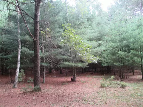 w5682 Meiller Road, Montello, WI 53949 photo 2