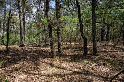 lot38 S 39 S Badger Ln, Arkdale, WI 54613