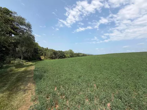 lot3 Lee Rd, Dane, WI 53529 photo 3