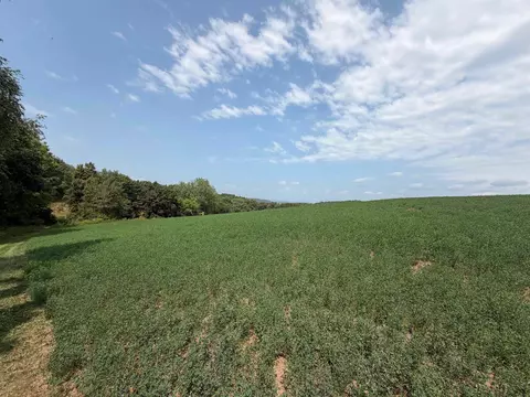 lot3 Lee Rd, Dane, WI 53529 photo 2