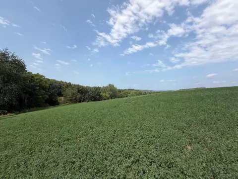 lot3 Lee Rd, Dane, WI 53529 photo 4