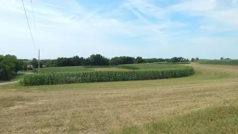8 01 Acres Alfred Dr, Ridgeway, WI 53582 photo 4