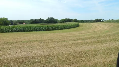 8 01 Acres Alfred Dr, Ridgeway, WI 53582 photo 2