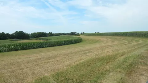 8 01 Acres Alfred Dr, Ridgeway, WI 53582 photo 3