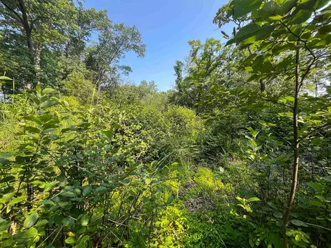 Other - n7012 County Road B, Montello, WI 53949 photo 18 of 20
