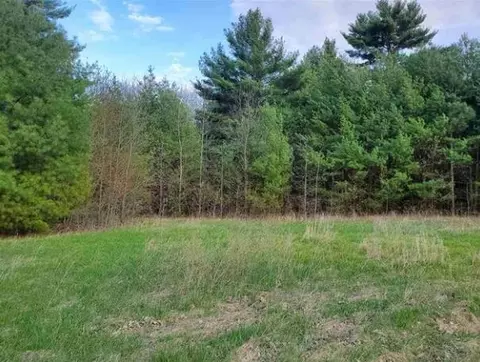 9 E 732 Acres E Flint St, Lyndon Station, WI 53944