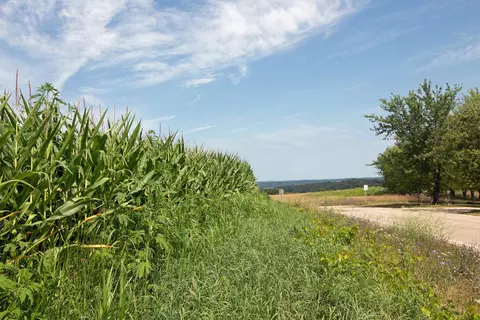 13 2 Acres County Hwy H, Ridgeway, WI 53582