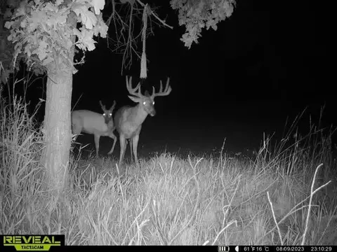 Other - 21881 Kale Rd, Sparta, WI 54656 photo 36 of 54