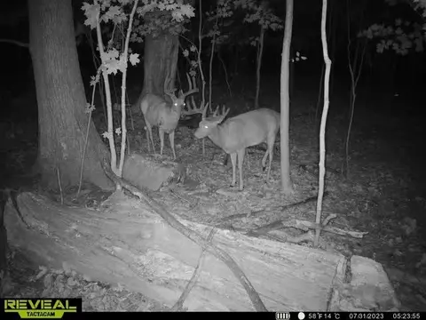 Other - 21881 Kale Rd, Sparta, WI 54656 photo 25 of 54