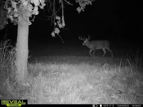 Other - 21881 Kale Rd, Sparta, WI 54656 photo 24 of 54