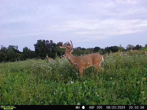 Other - 21881 Kale Rd, Sparta, WI 54656 photo 45 of 54