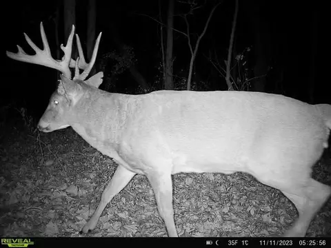 Other - 21881 Kale Rd, Sparta, WI 54656 photo 29 of 54