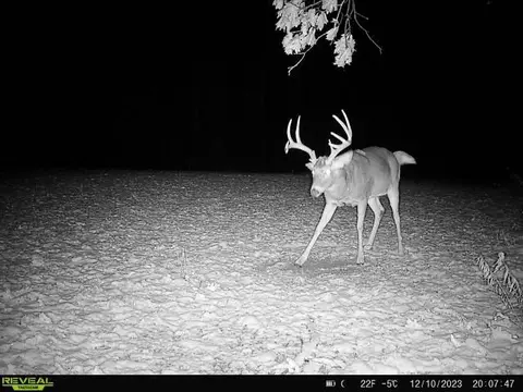 Other - 21881 Kale Rd, Sparta, WI 54656 photo 34 of 54