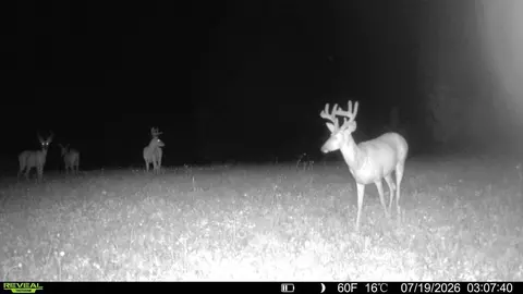 Other - 21881 Kale Rd, Sparta, WI 54656 photo 20 of 54