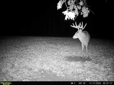 Other - 21881 Kale Rd, Sparta, WI 54656 photo 35 of 54