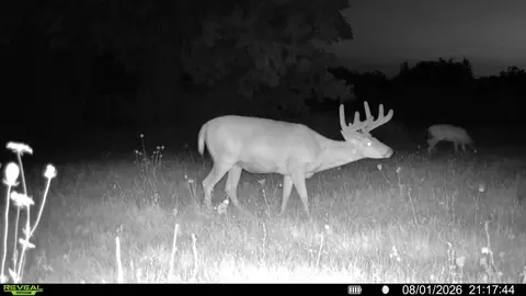 Other - 21881 Kale Rd, Sparta, WI 54656 photo 23 of 54
