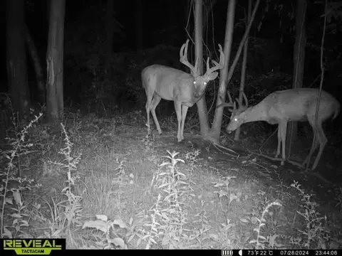 Other - 21881 Kale Rd, Sparta, WI 54656 photo 44 of 54